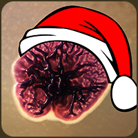 Grüße von der Weihnachtsmikrobe - Janthinobacterium